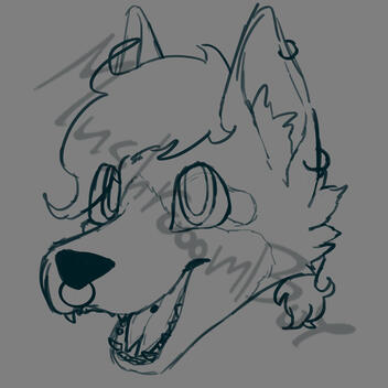 Sketch